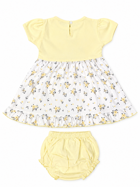 Baby Girl Cotton Frock – Floral Printed Dress with Embroidered Bodice & Frill Design
